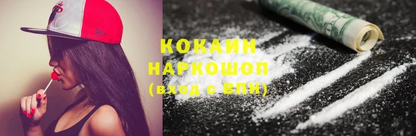 дживик Елизово