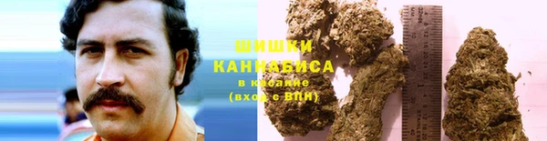 дживик Елизово