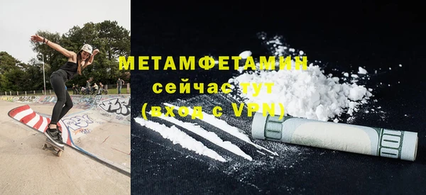 индика Елабуга
