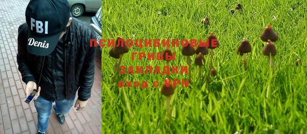 каннабис Дмитриев